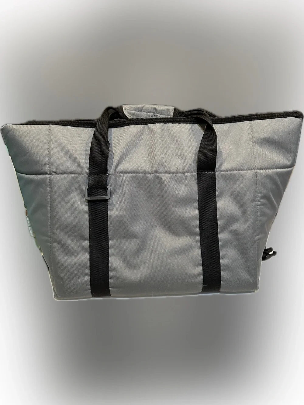 YUKON OUTFITTERS 24 CAN SOFT SIDED THERMAL COOLER BAG COME AND TAKE IT ICE CHEST